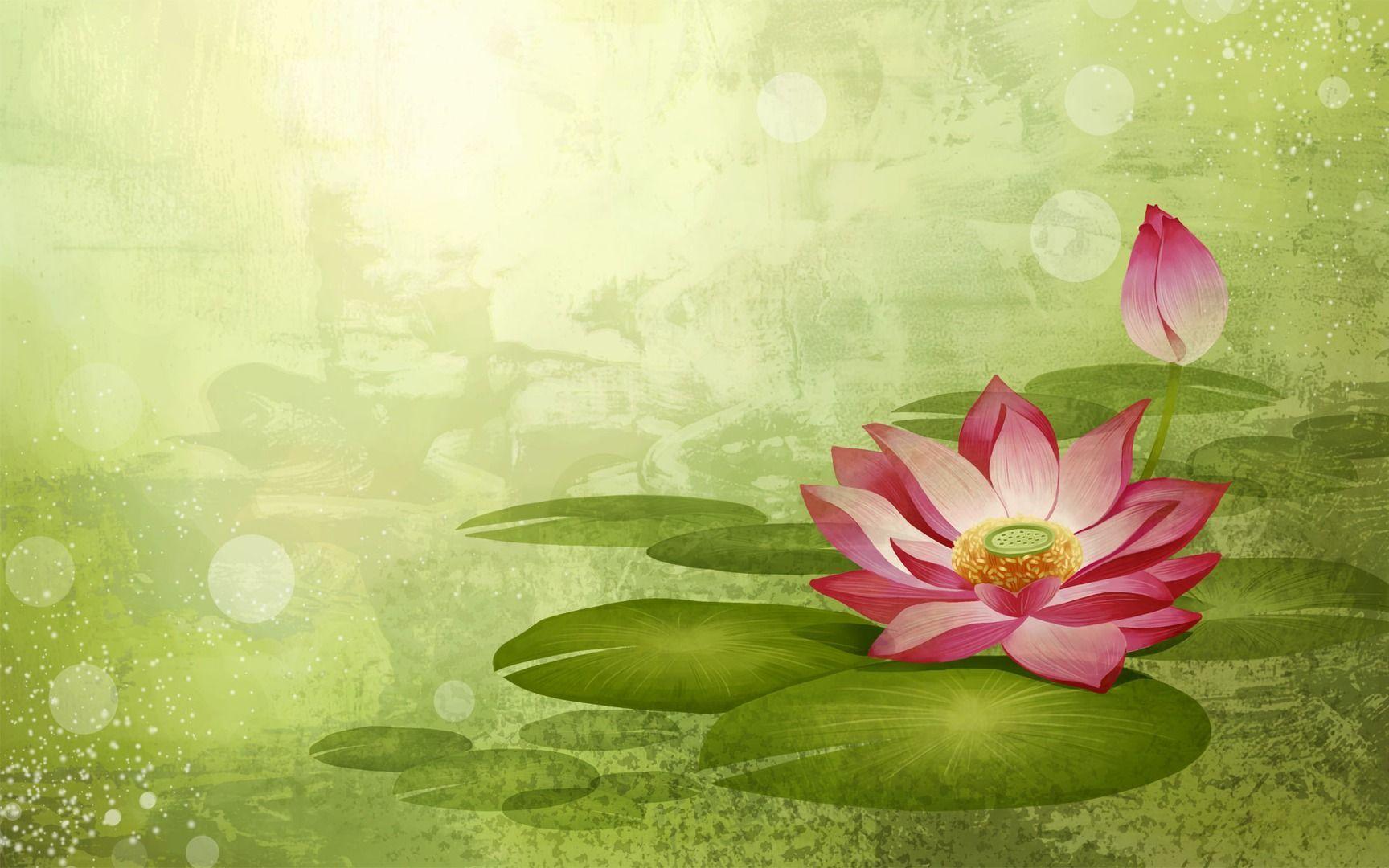 In Gallery: Lotus Flower Wallpaper, 45 Lotus Flower HD Wallpaper