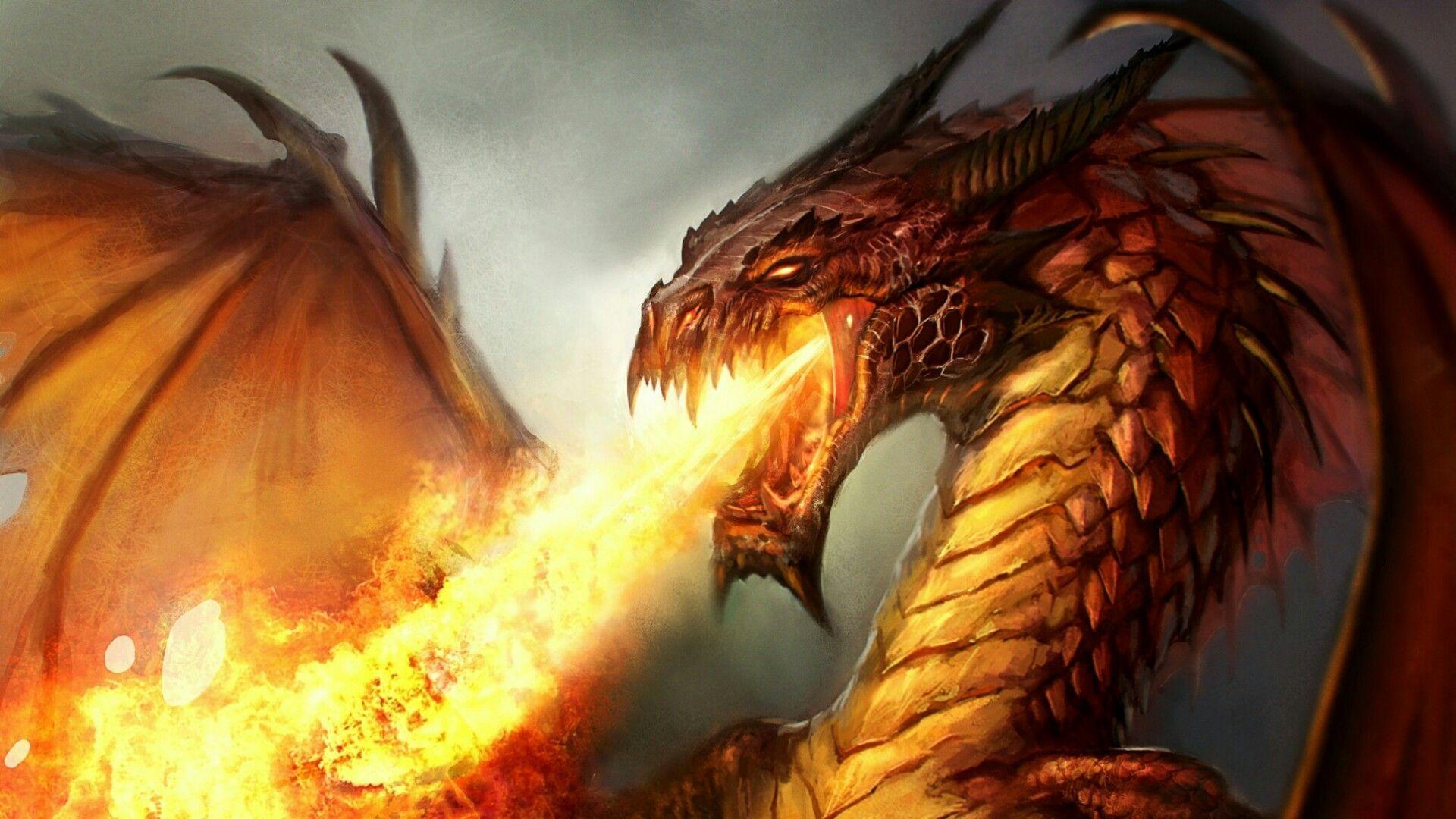 Top Fire Dragon Wallpaper 3D FULL HD 1920×1080 For PC Background
