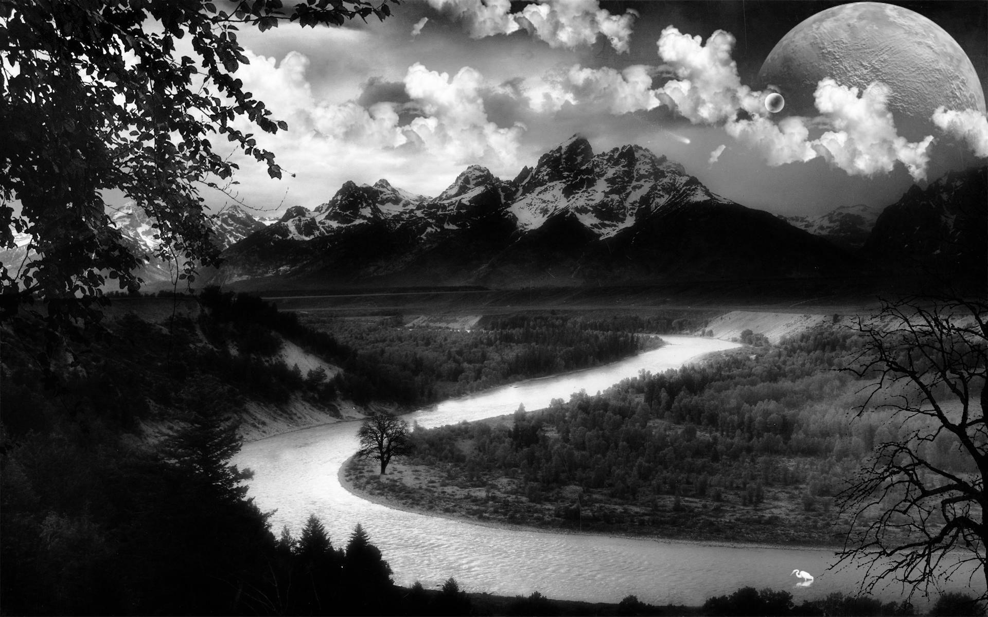 Black And White Picture Nature Nature Wallpaper Black And White