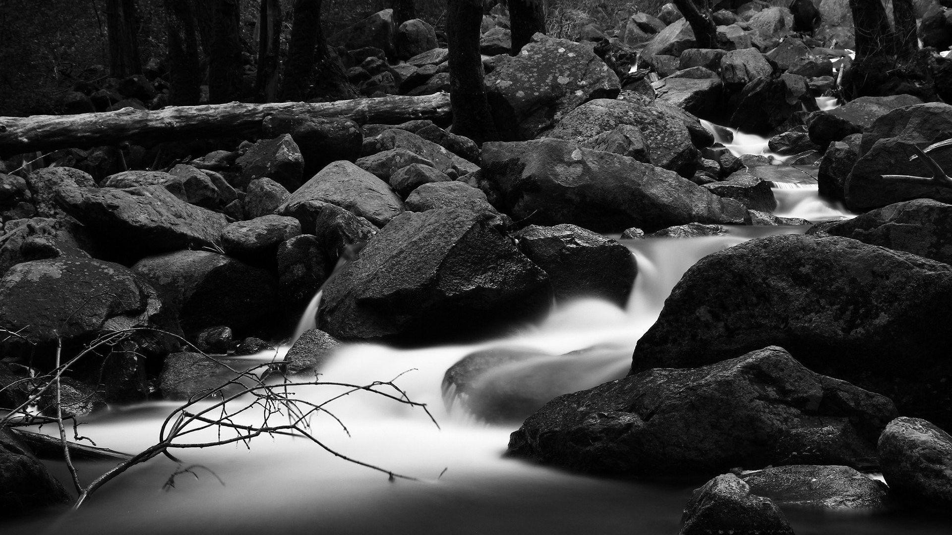 Rivers: Monochrome Rivers Grayscale Forests HD Desktop Nature
