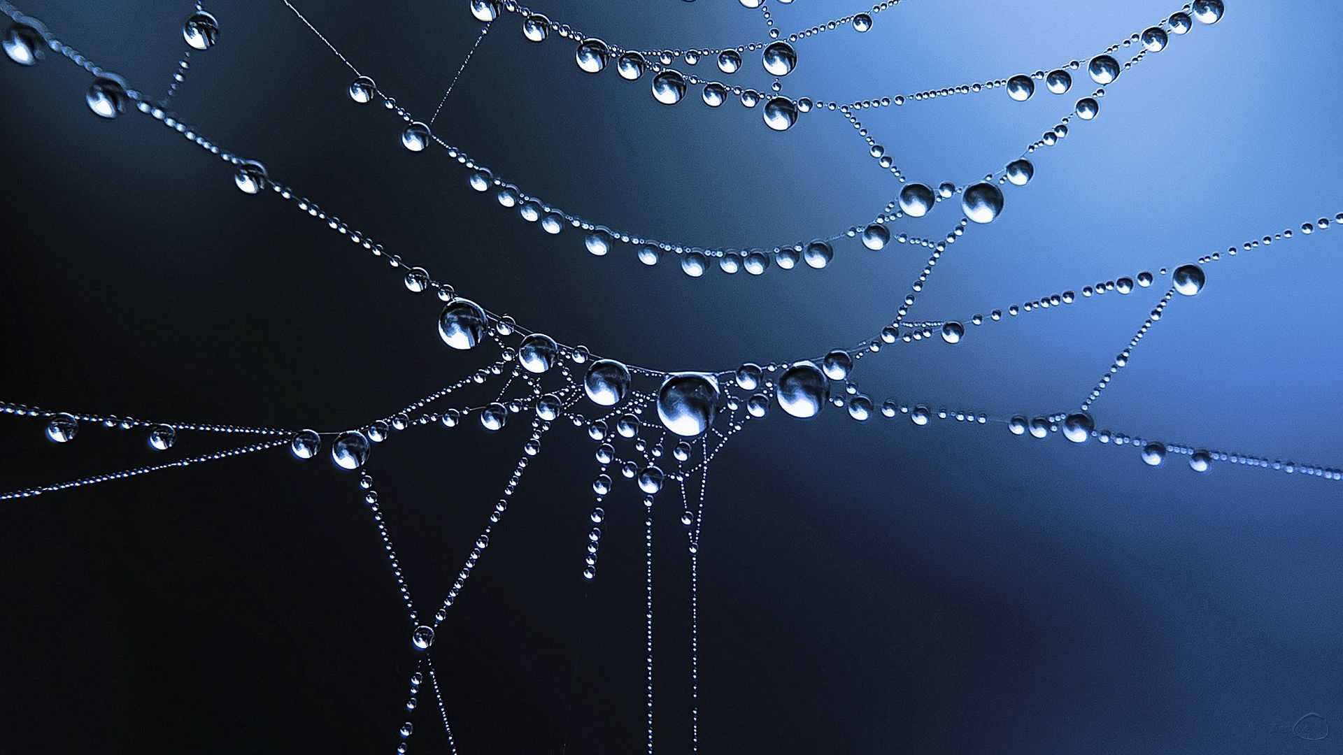 Water Drops High Resolution Drop Wallpaper For Mobile HD Image