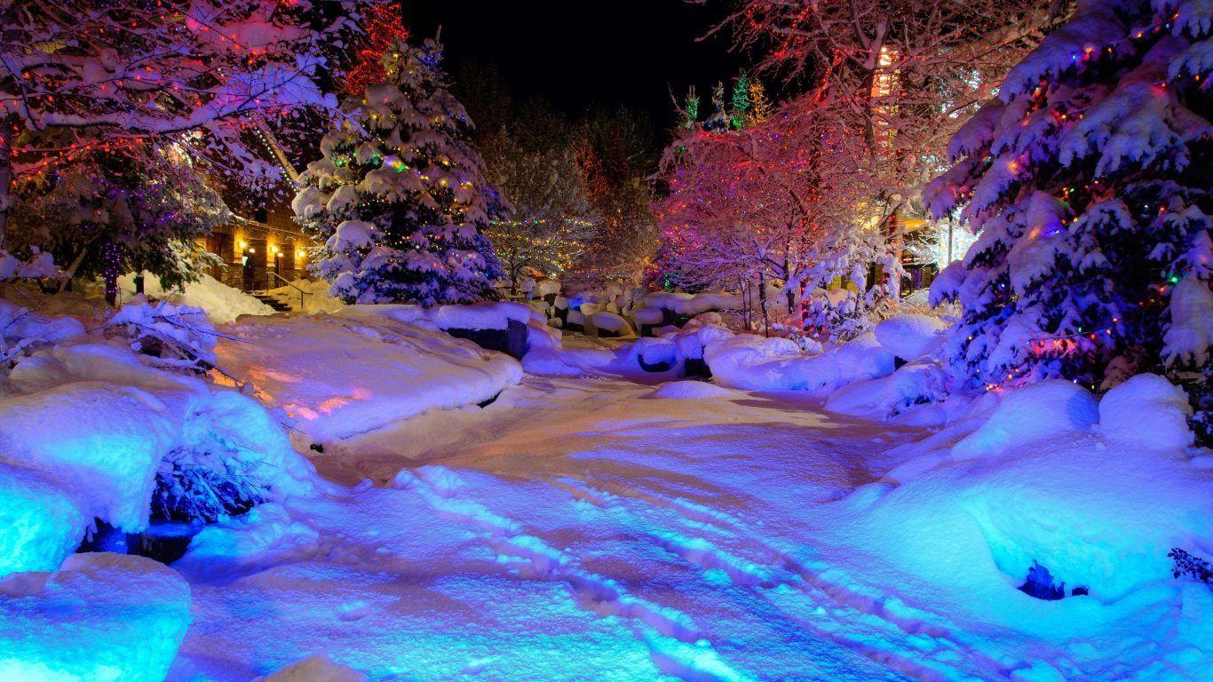 Winter Christmas Lights Nature Snow Nights Magic Colorful Desktop
