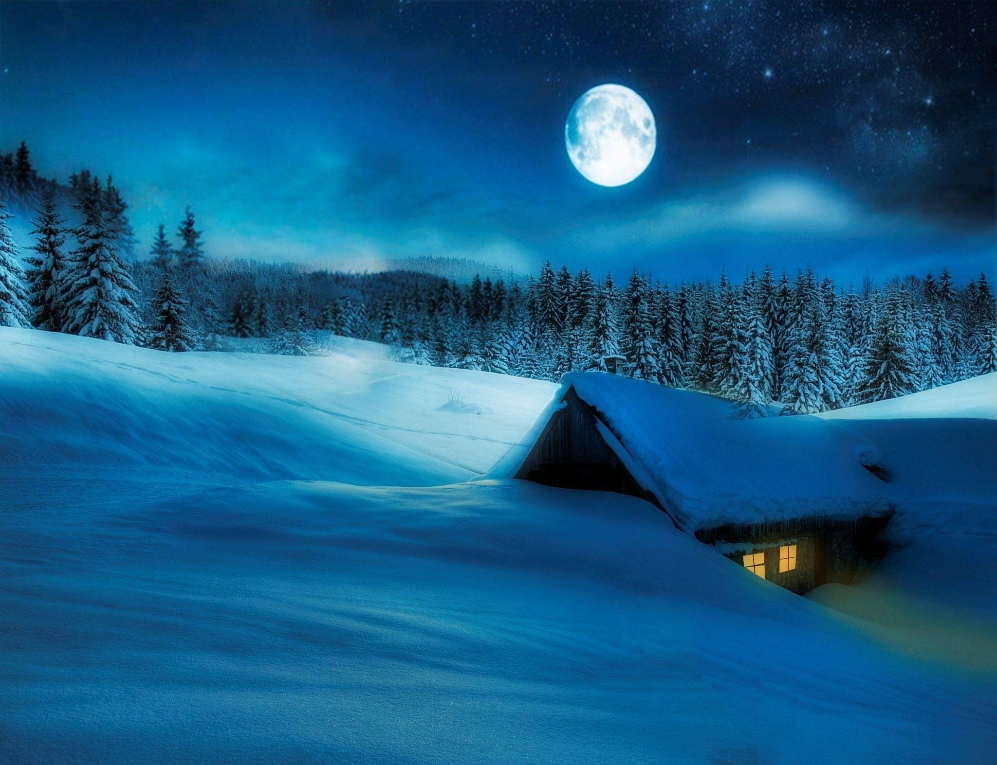 Winter: Night Winter Snow Moon Scene Landscape Desktop Wallpaper