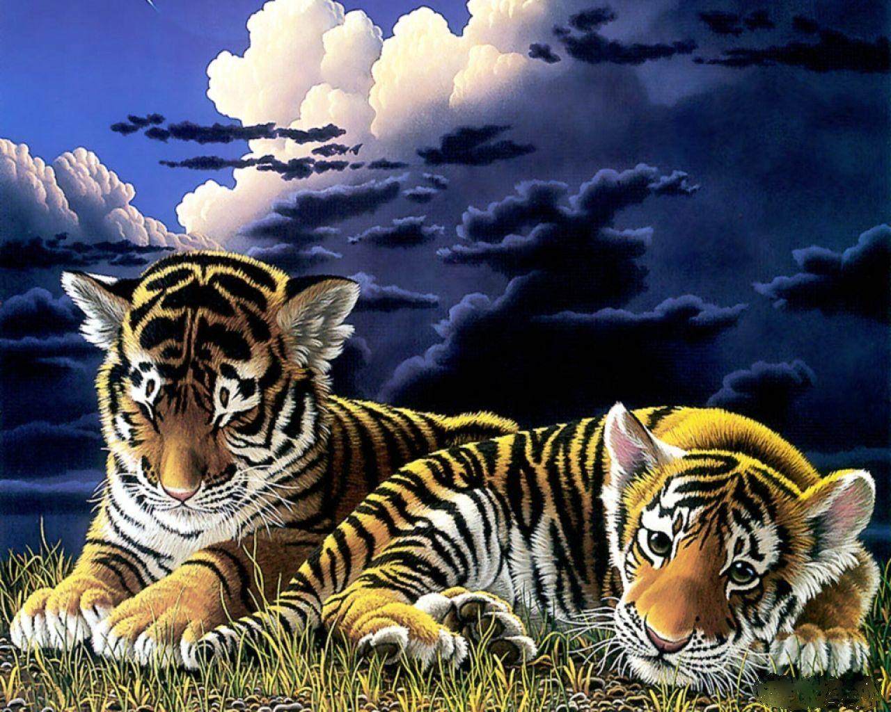 Animal Cubs image Tiger Cubs HD wallpaper and background photo