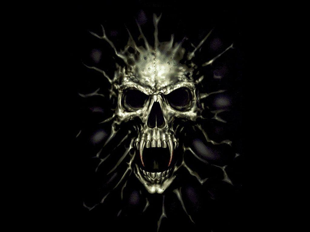 Harley Davidson Number One Skull Logo. Wallpaper For Desktop