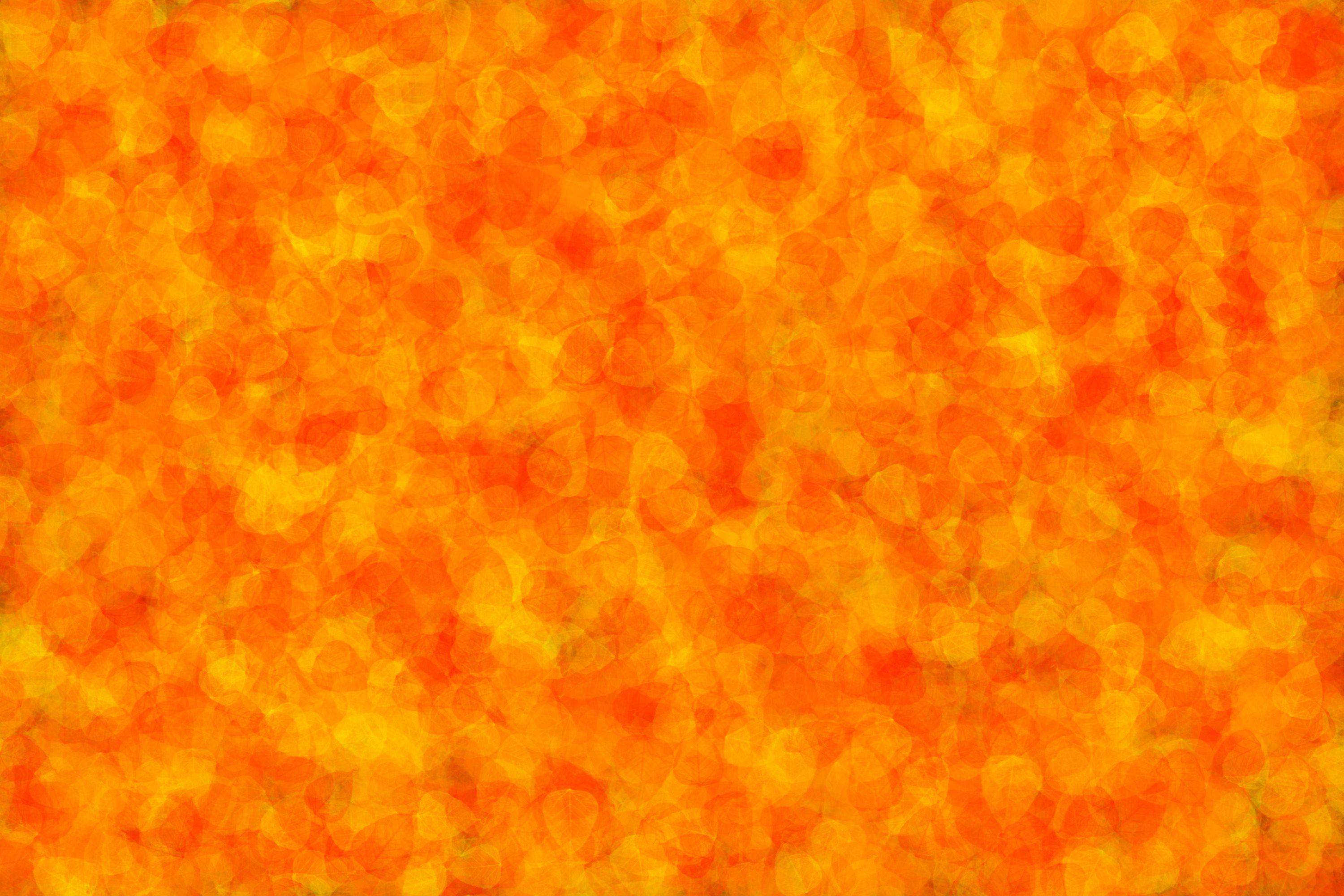 orange leaves. Free background and textures