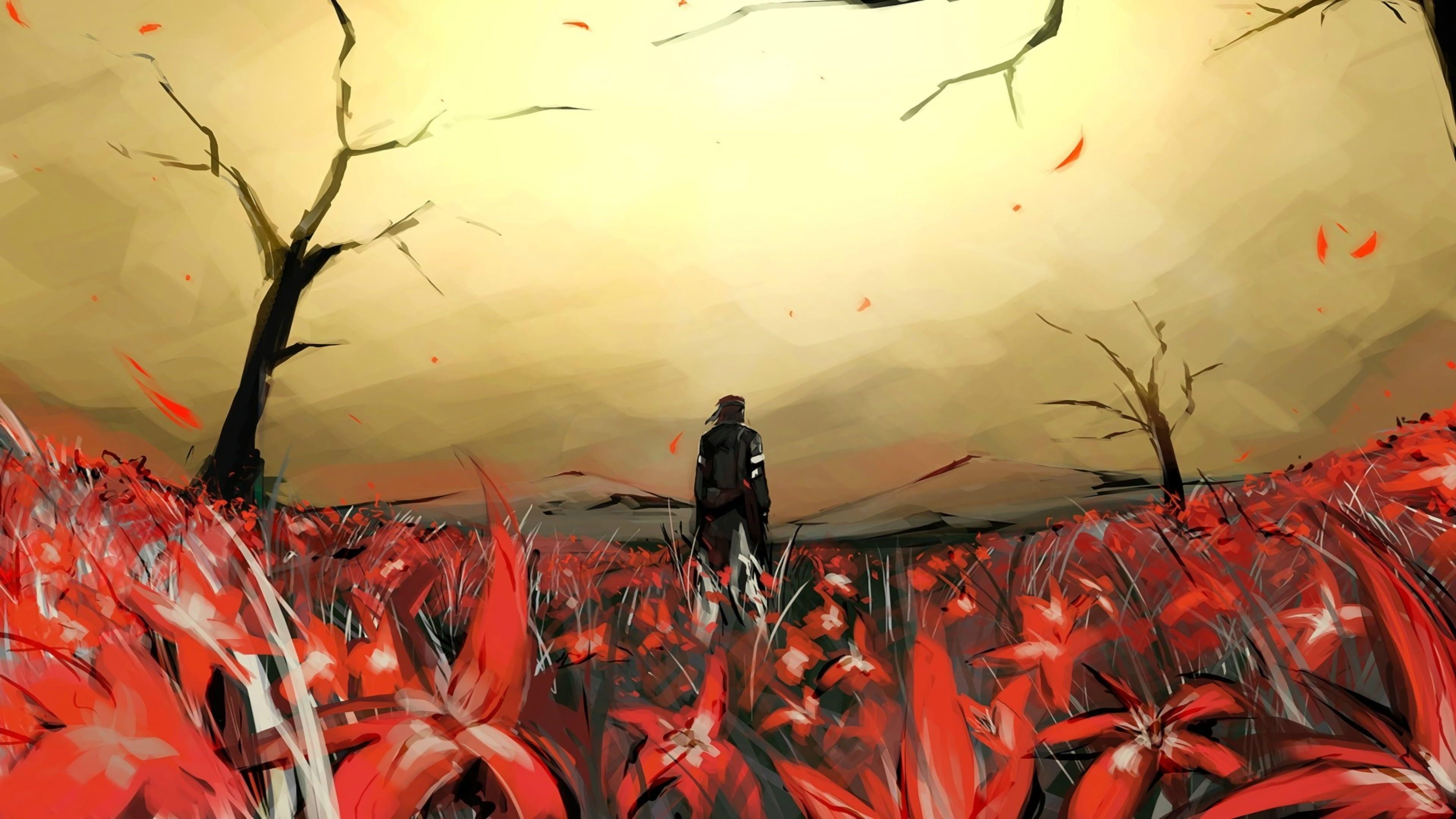 Anime character standing on red flower field illustration, Metal