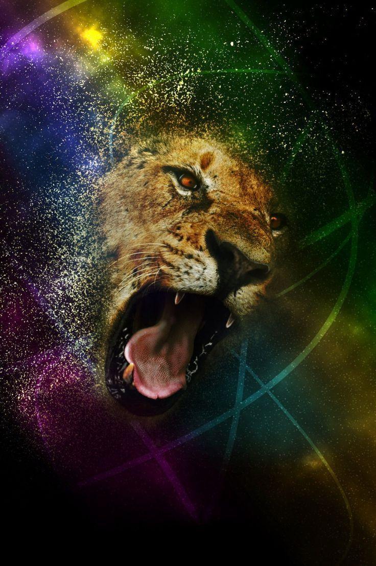 best The Lion of Judah image. Lion of judah