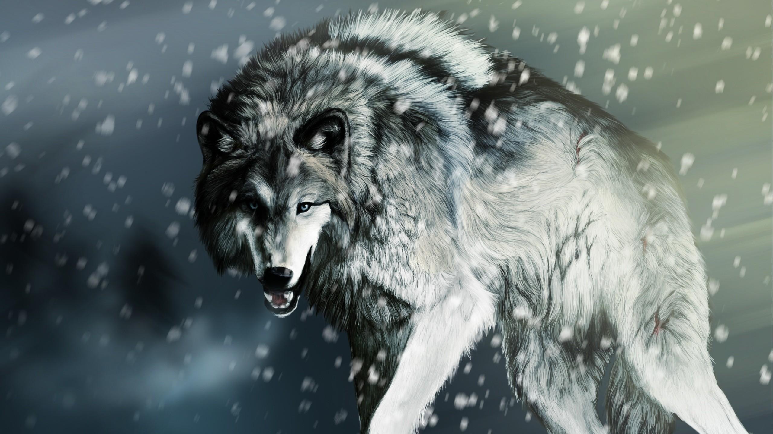 Wallpaper De Lobo, Picture