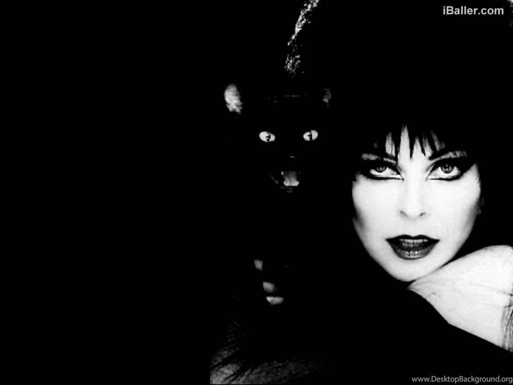 Elvira Mistress Of The Dark Wallpaper Desktop
