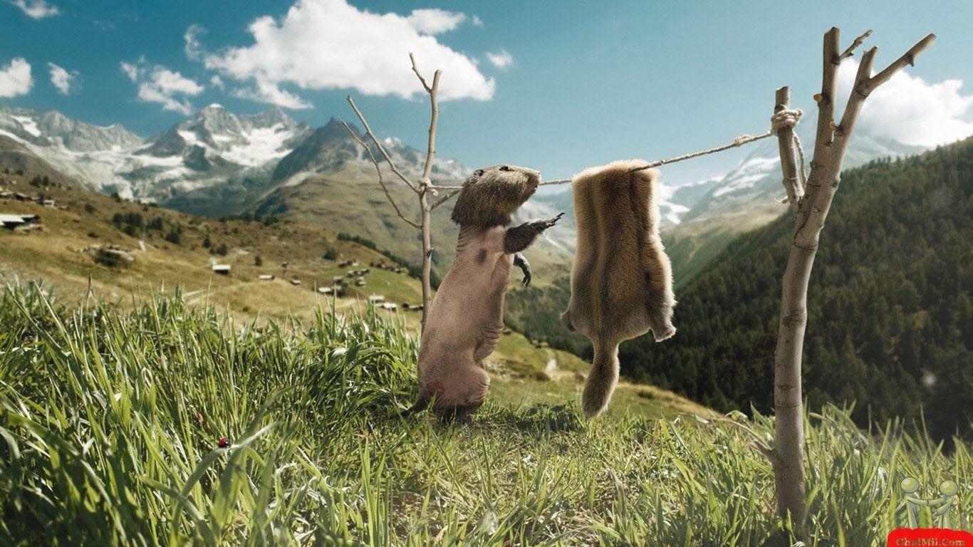 HD Widescreen Image Collection of Funniest In The World: Gandalf