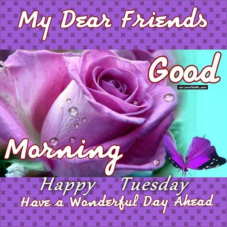 My Dear Friends Goof Morning Happy Tuesday Picture, Photo