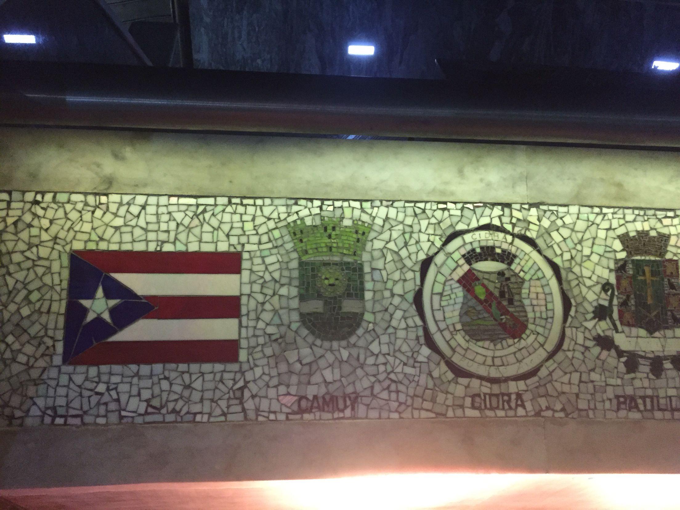 The spiral is fundamental to nature, appearing on animals such as