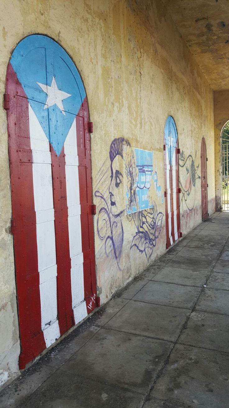 best Mi Bandera image. Puerto rico, Puerto ricans