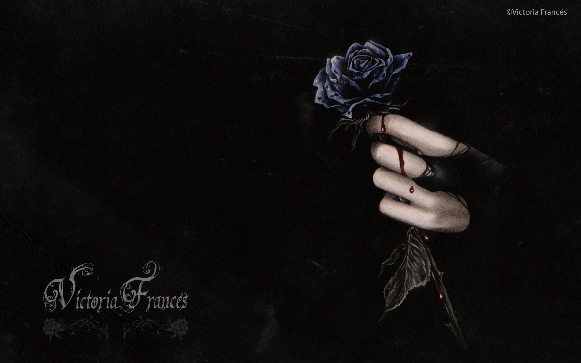 Bloody Black Rose a Victoria Francis Classic HD Wallpaper