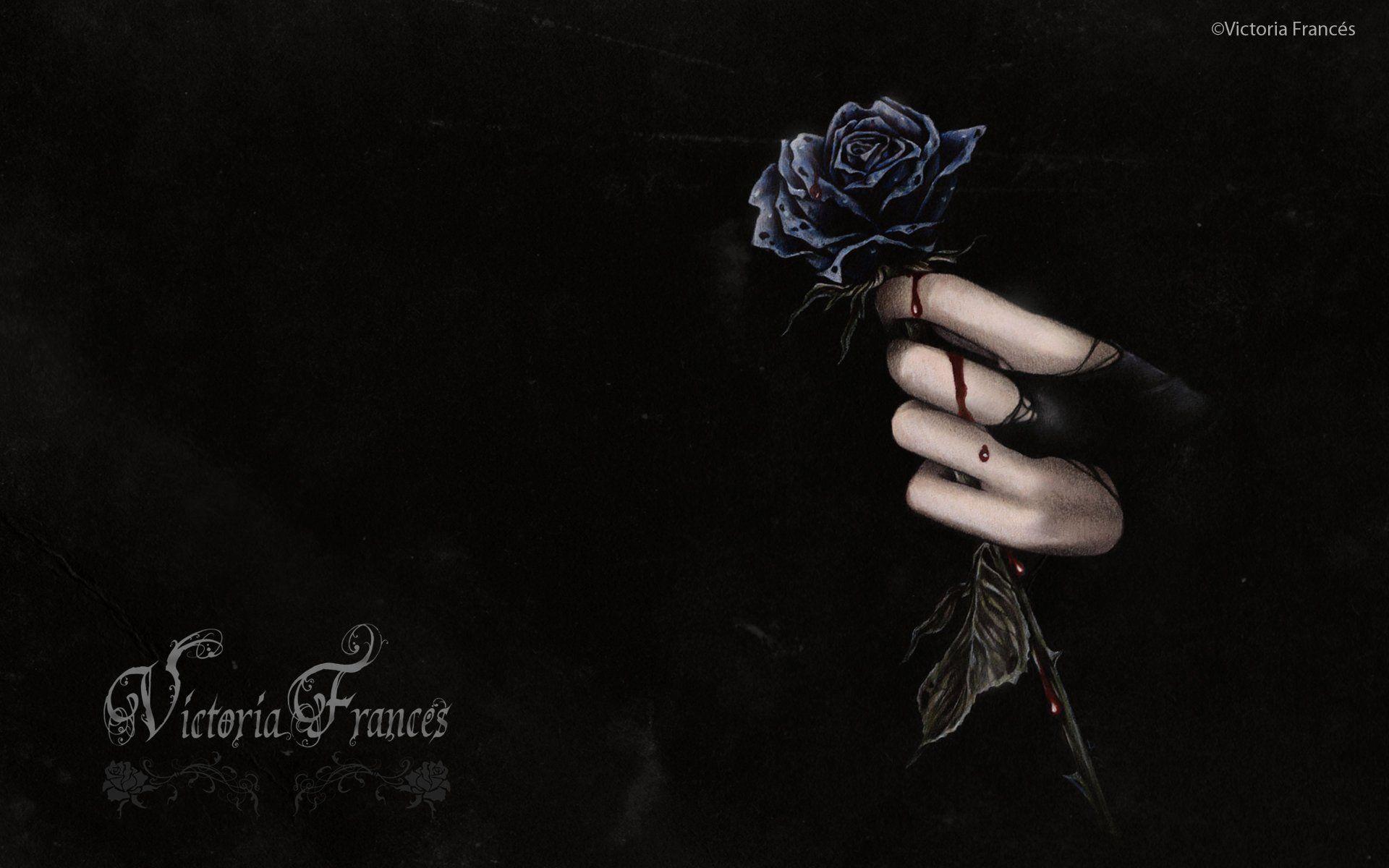 Rose And Hands Wallpapers Wallpaper Cave