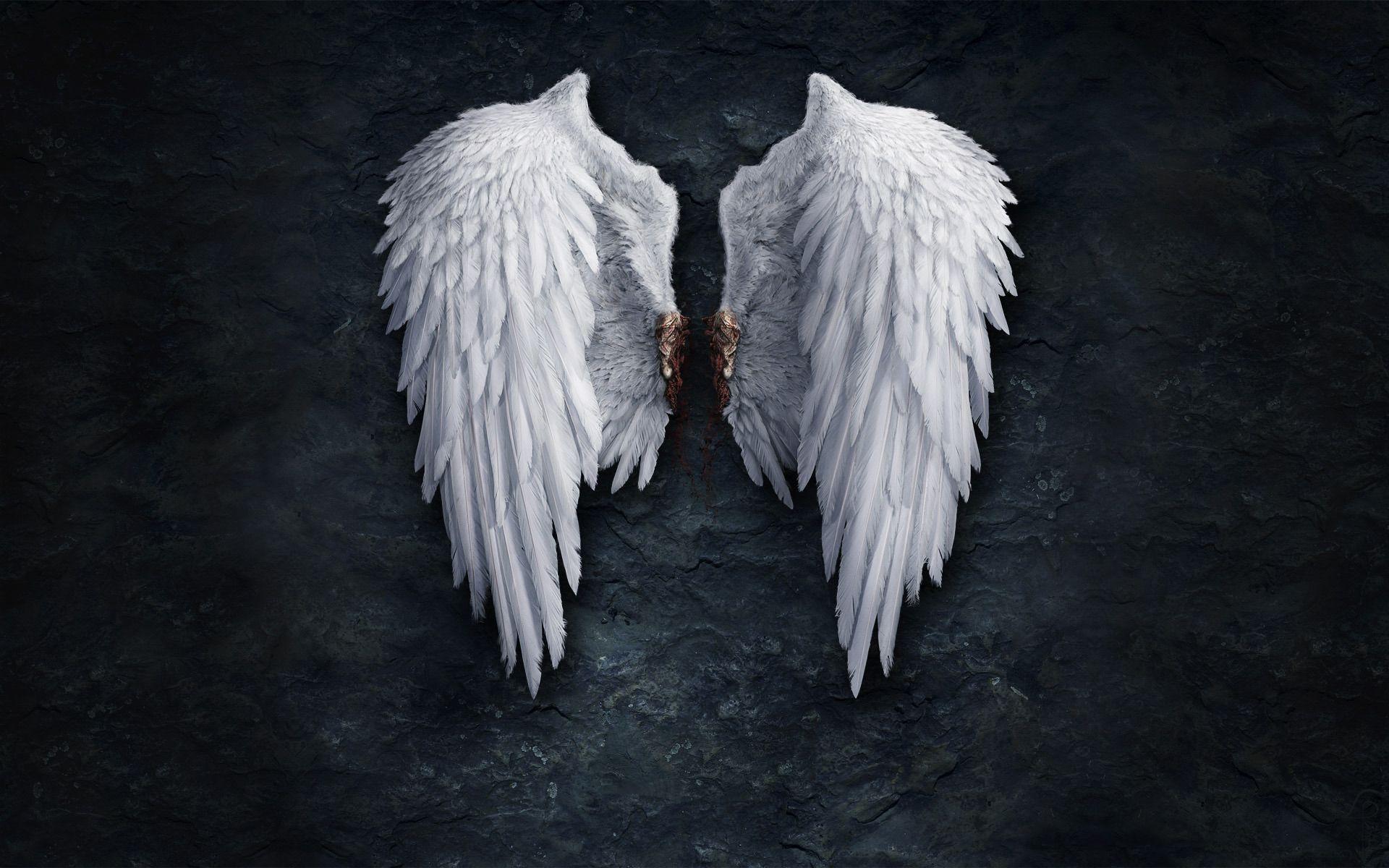 Angel Wings wallpaper and image download wallpaper, picture