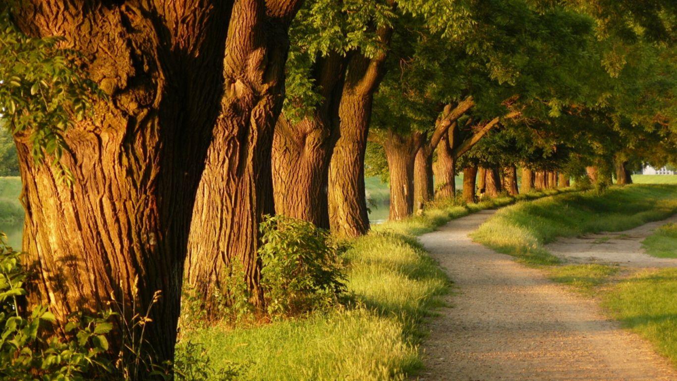 Nature Pics For Facebook Free Nature Cover Photo For Facebook