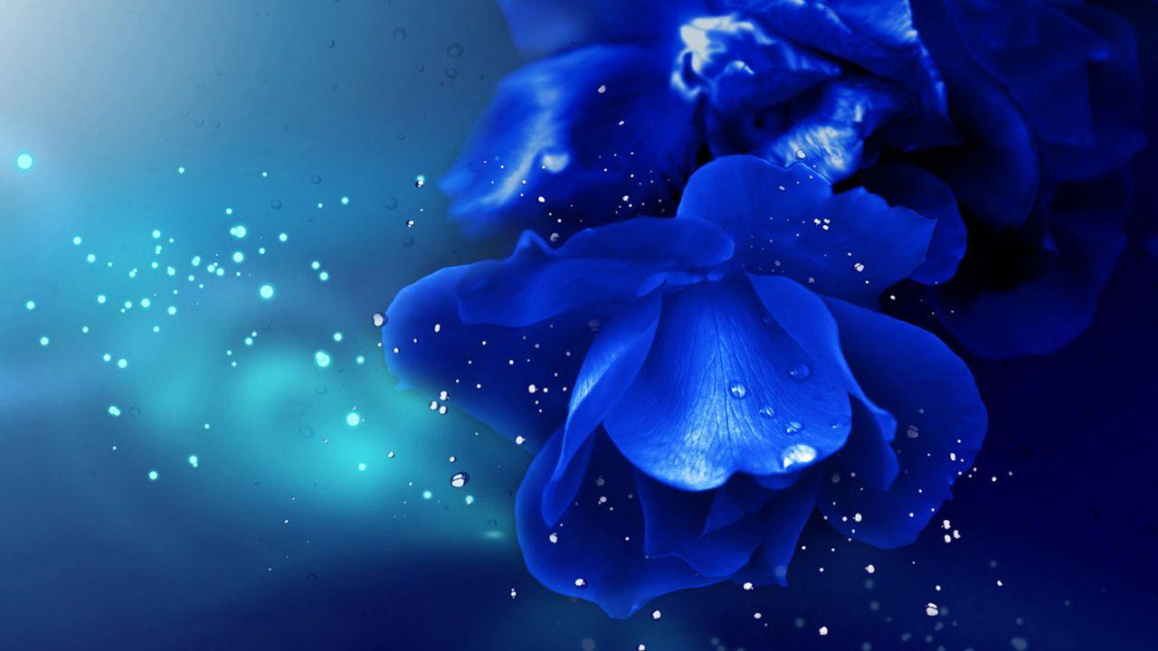 Free Blue Flower Wallpaper Background