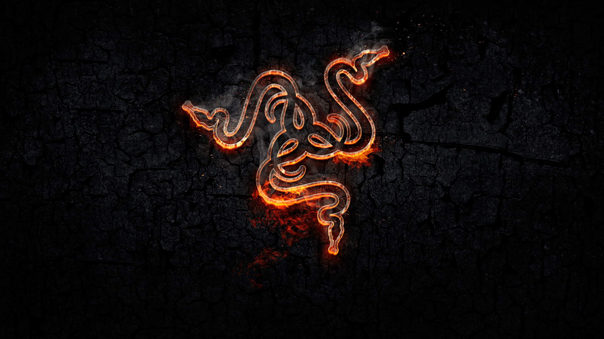 Wallpaper Razer, Logo, Fire, Gaming, Snake