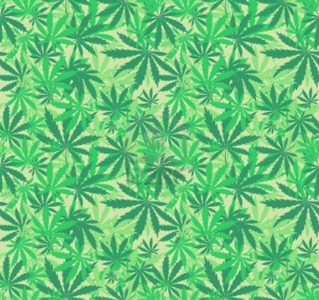 Marijuana leaves. Background. shared