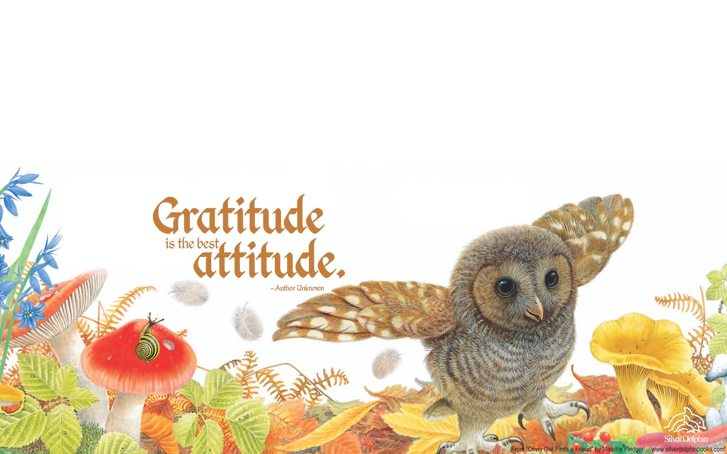 Silver Dolphin Books–. Olivia Owl November Fall Desktop Wallpaper