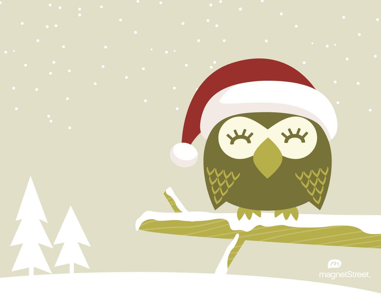 cute owl picture. Owl