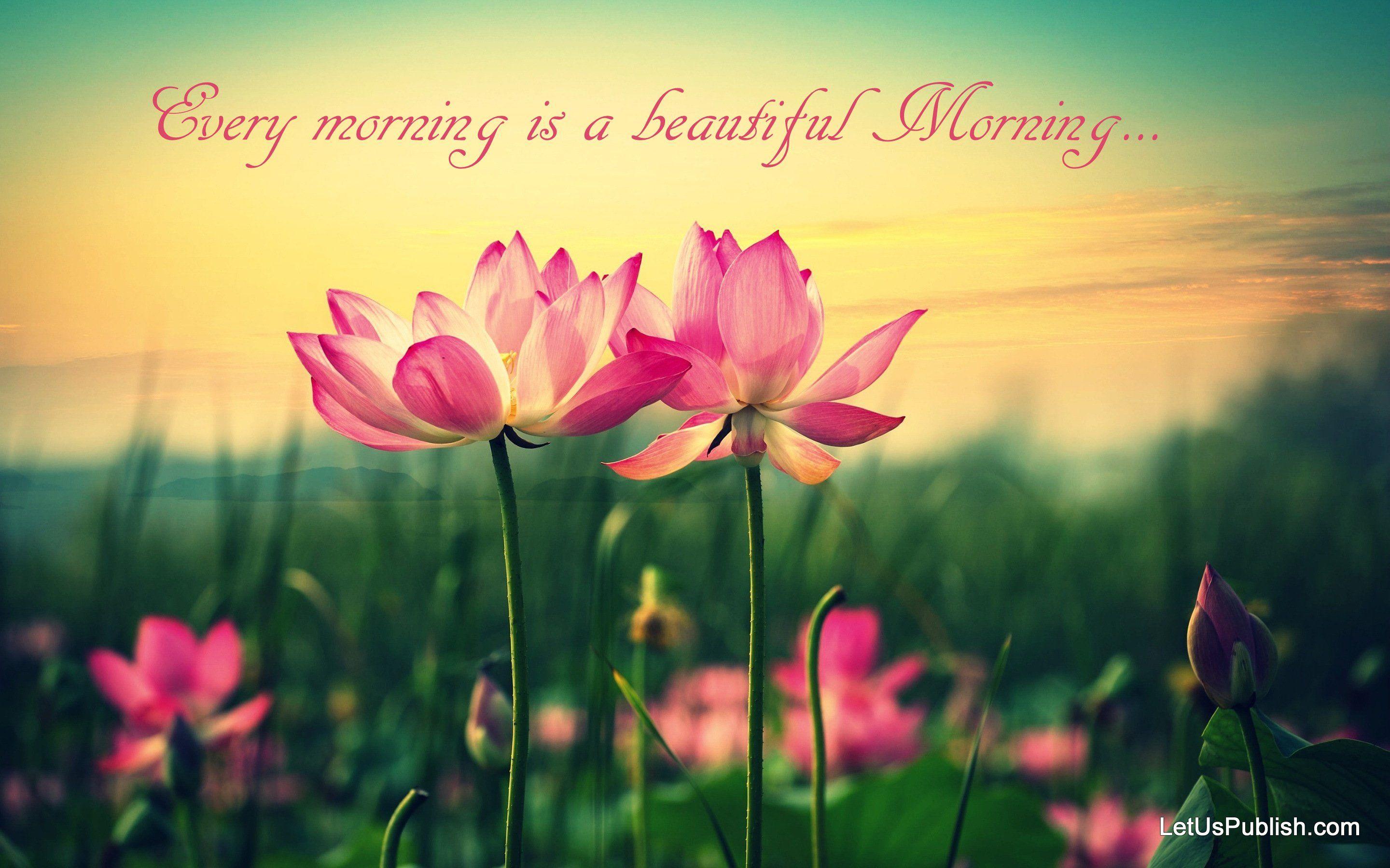 Beautiful Morning 5k HD Artist 4k Wallpapers Images Backgrounds Photos  and Pictures