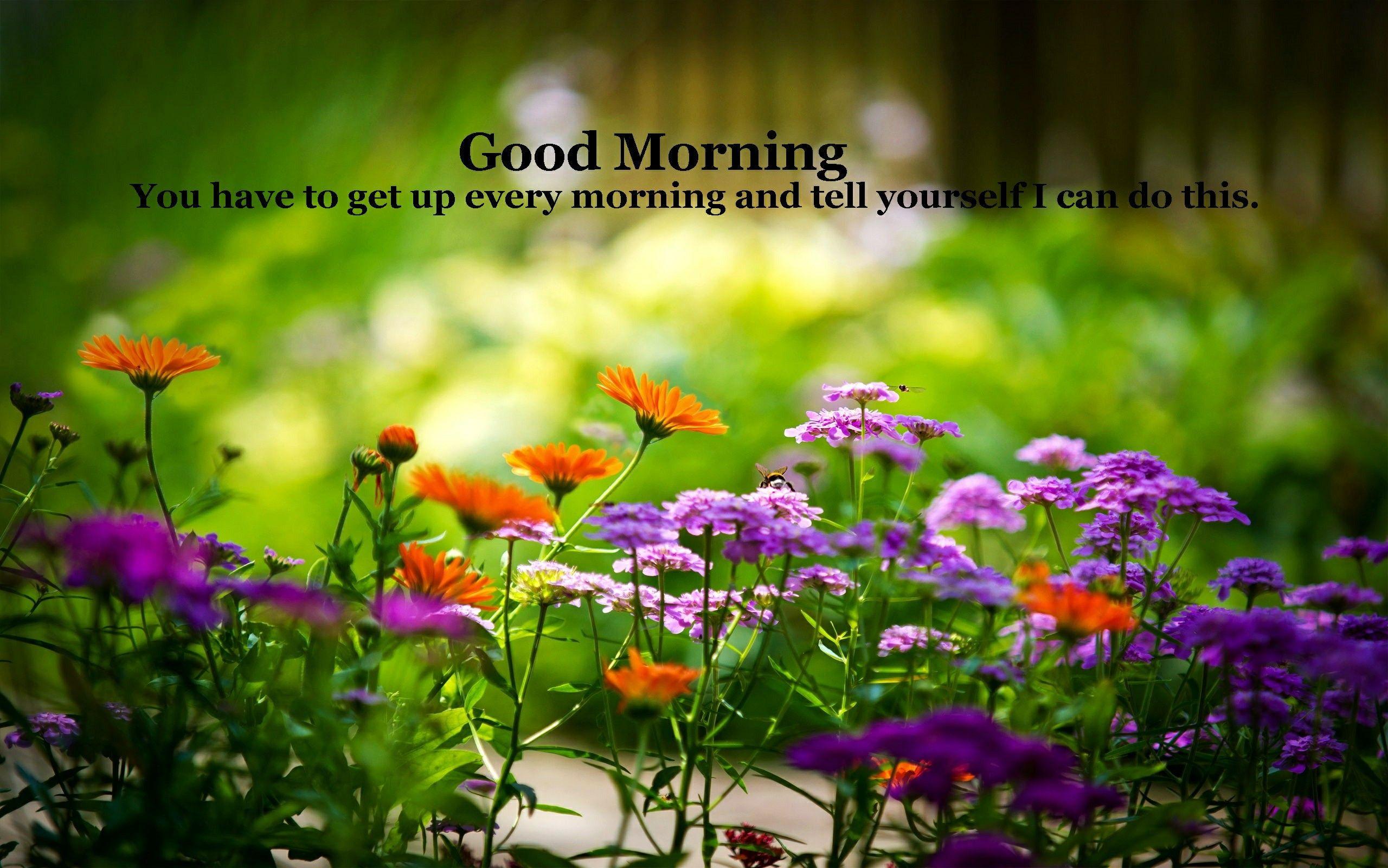 Wallpaper Latest Good Morning Love Image With Flowers For On