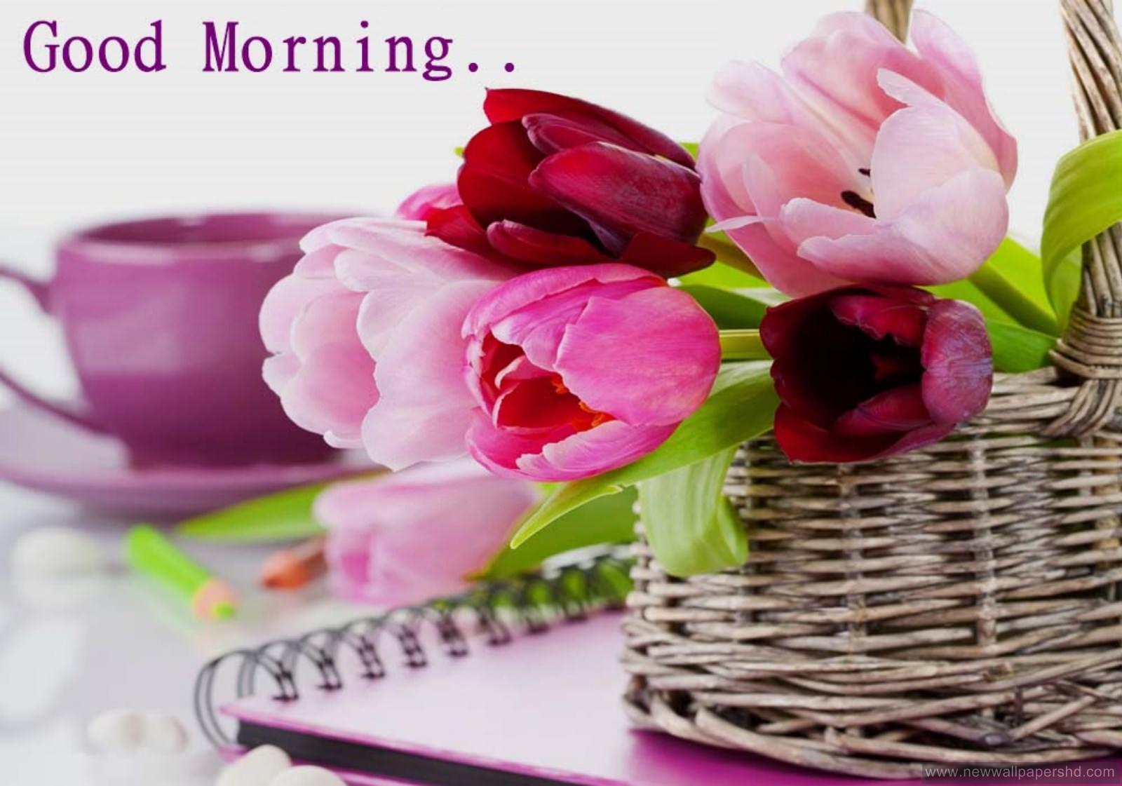 stylish Good Morning HD Wallpaper in English & Hindi
