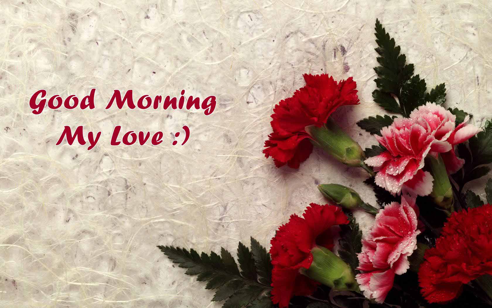 Best Good Morning For Lover HD Image Desktop Love Of Mobile