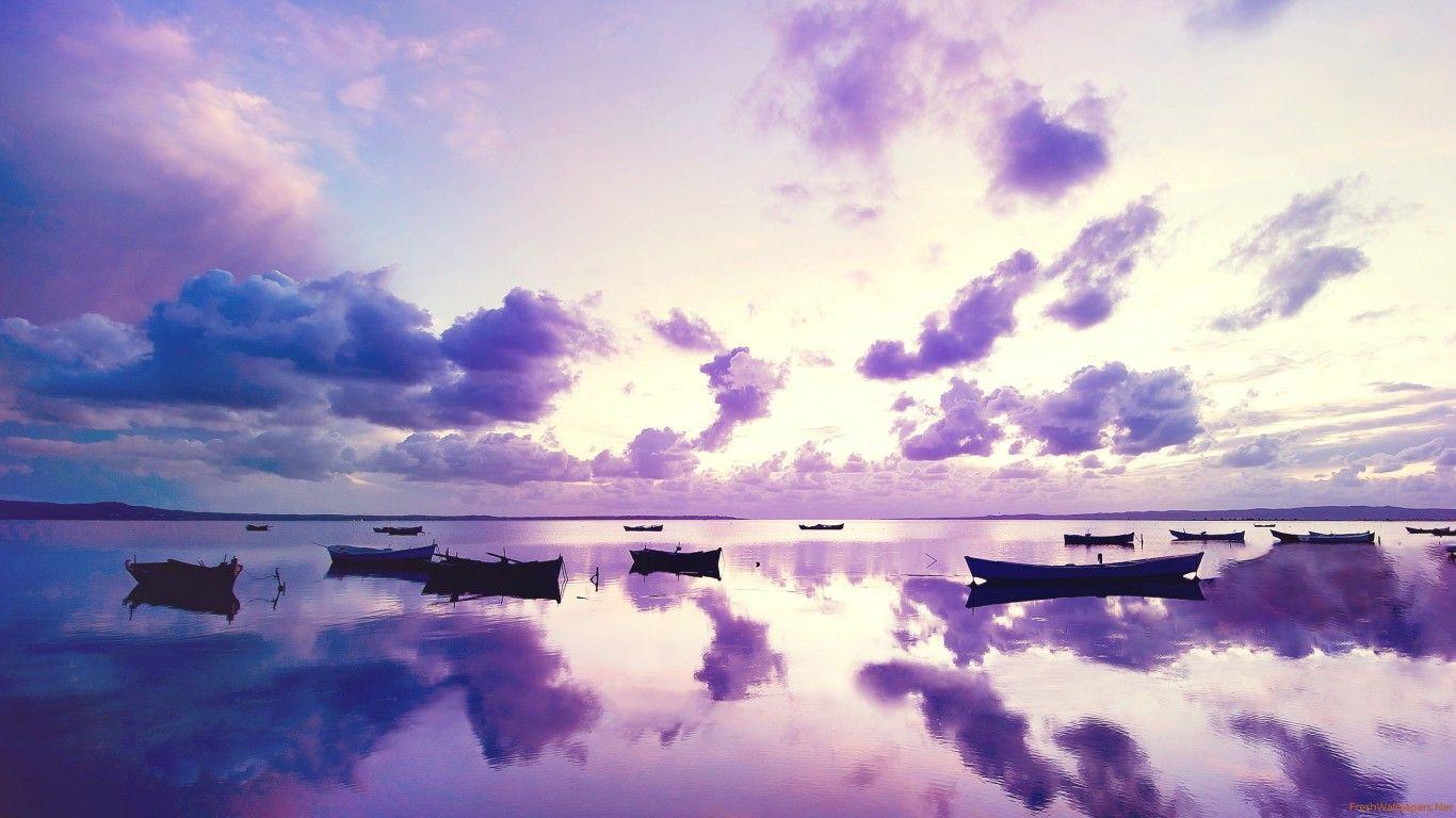 Purple Sunsets with Purple Skies wallpaper