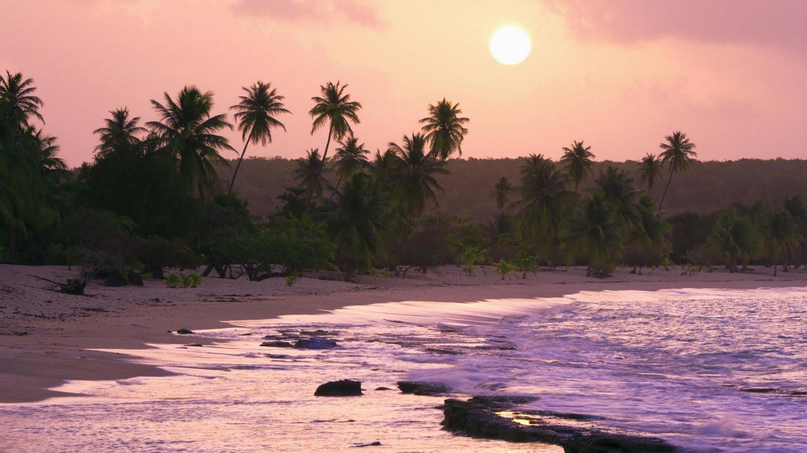 Jami Burch: puerto rico background