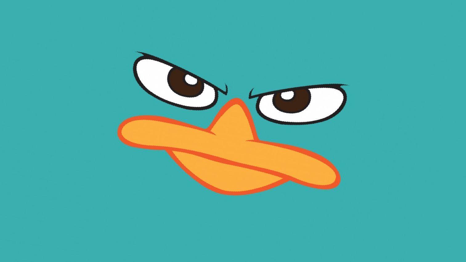 Baby perry the platypus wallpaper