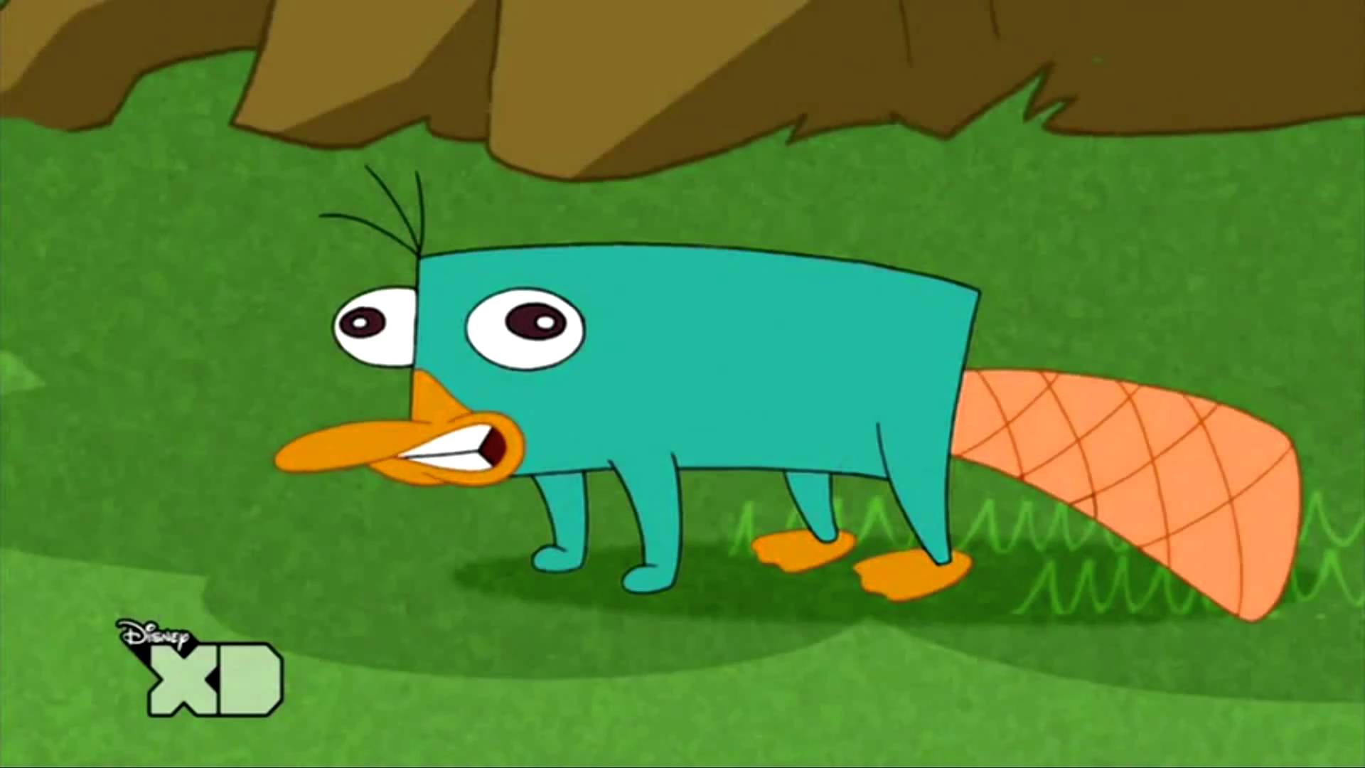 Perry the platypus sound (NL) (Link In Description)