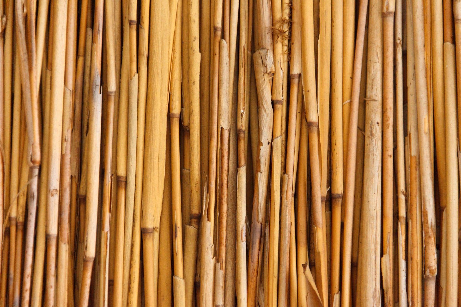 Bamboo backgroundDownload free awesome full HD wallpaper