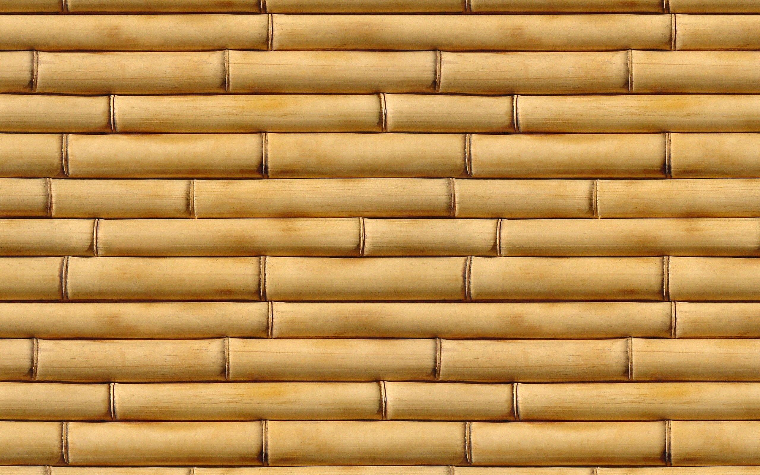 Free Download HD Bamboo Background
