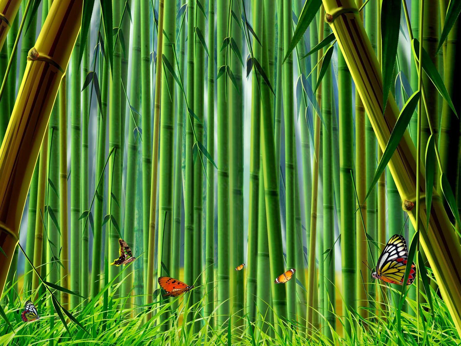 All new wallpaper, Bamboo Forest HD desktop wallpaper