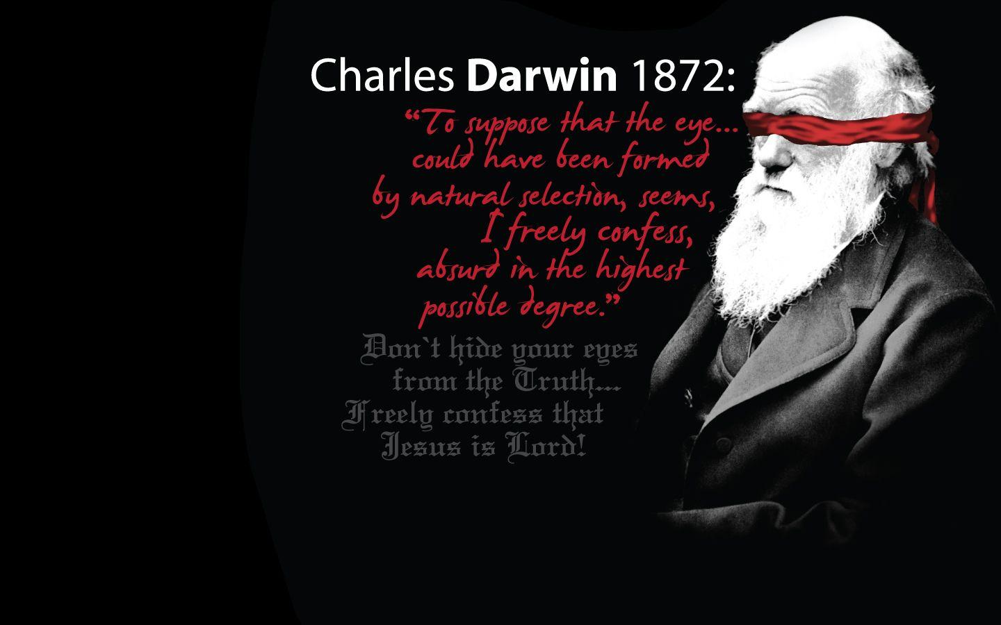 Darwin was Wrong Wallpaper Wallpaper and Background