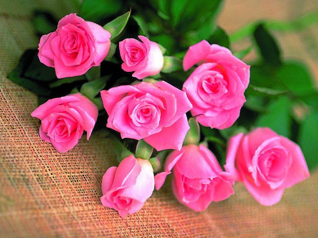 Flower Wallpapers Rose Love - Wallpaper Cave