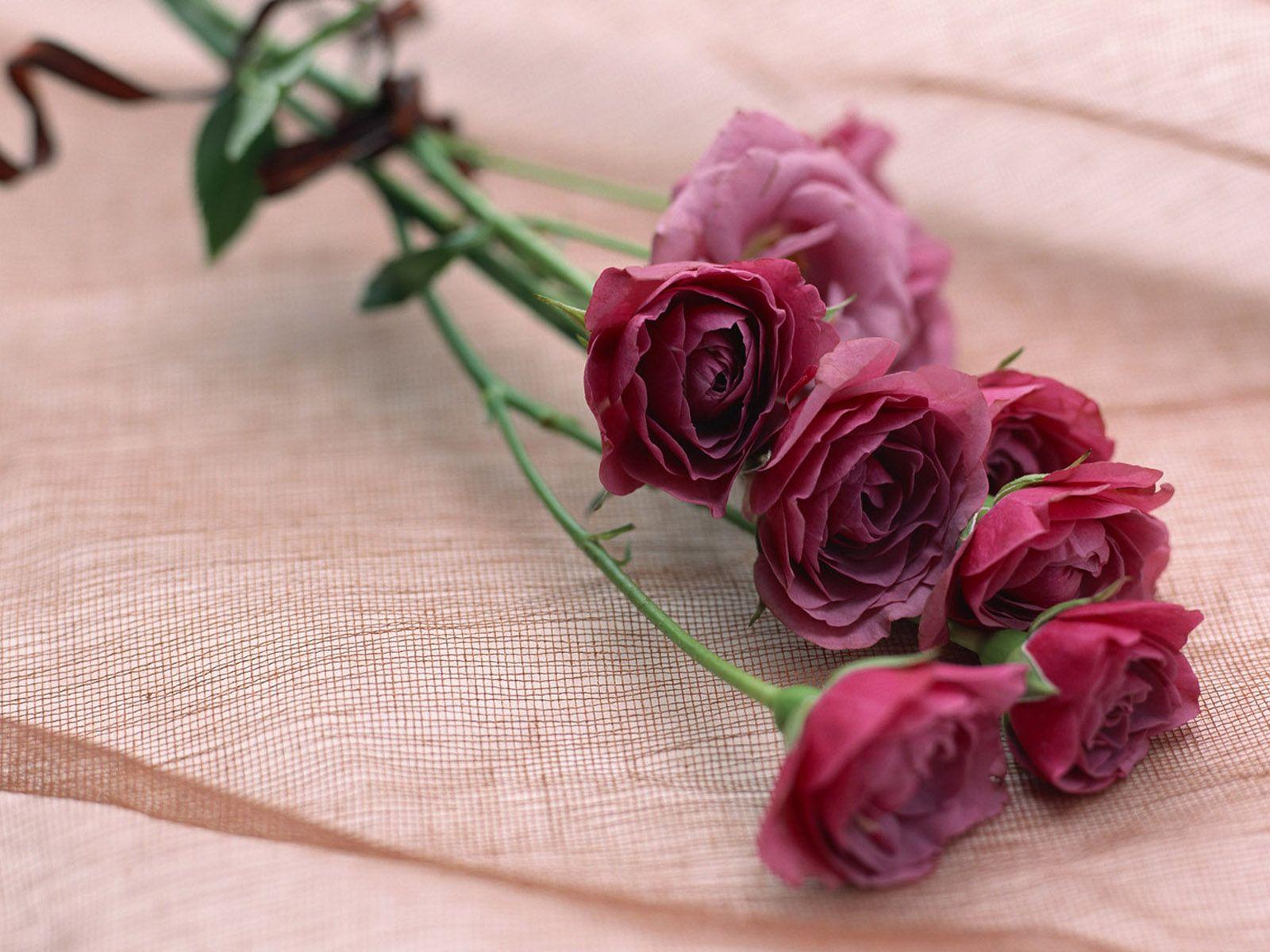 Desktop Wallpaper HD 3D Full Screen Flowers And Picture