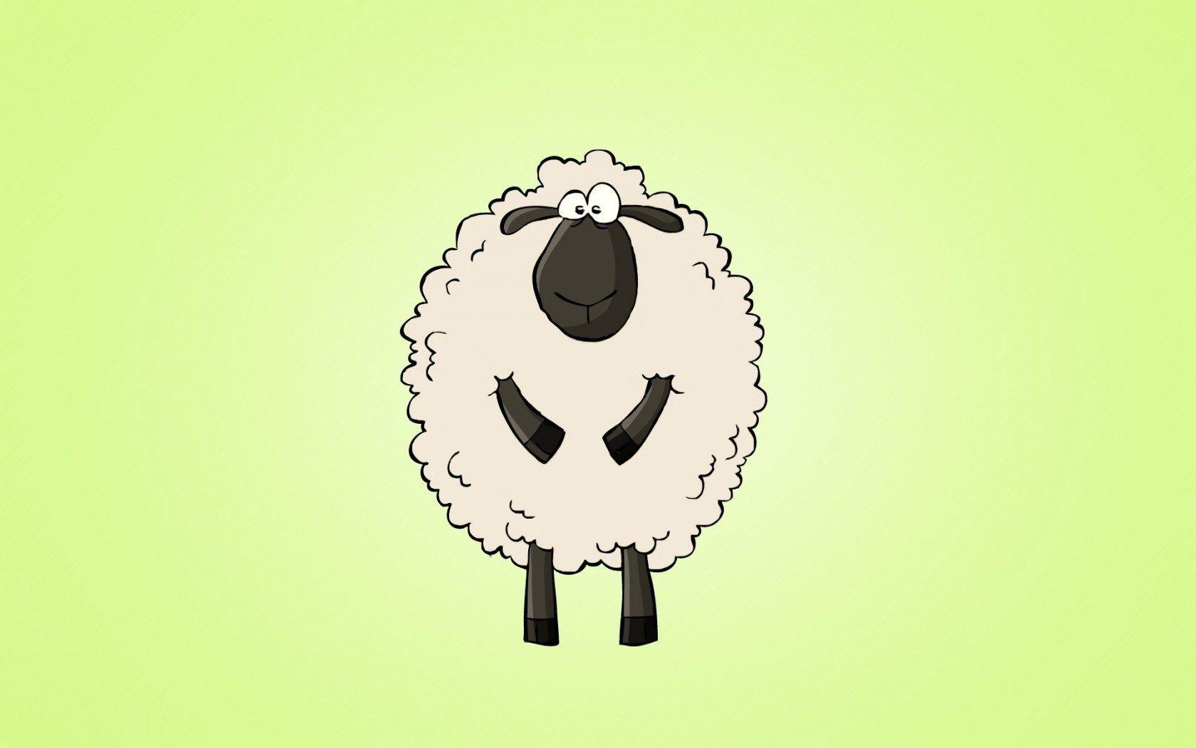 Sheep Wallpaper HD Photo. HD Wallpaper Picture Image FREE Download