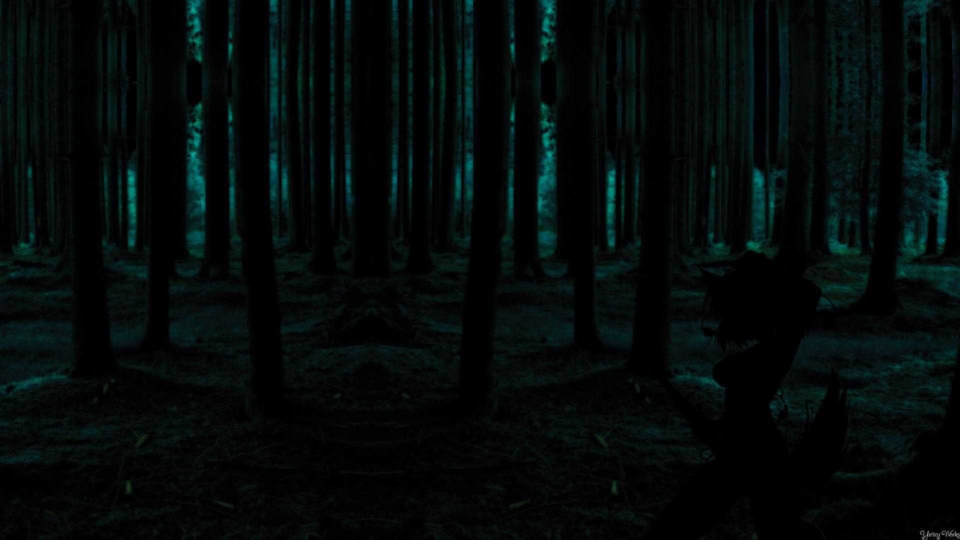 Dark Forest Wallpaper Widescreen Of Mobile Phones High Quality