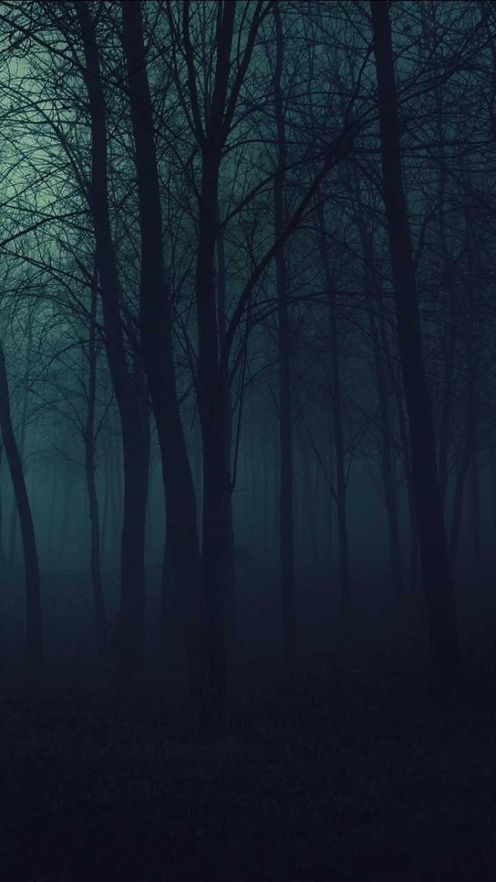 Dark Forest HD Mobile Wallpapers - Wallpaper Cave