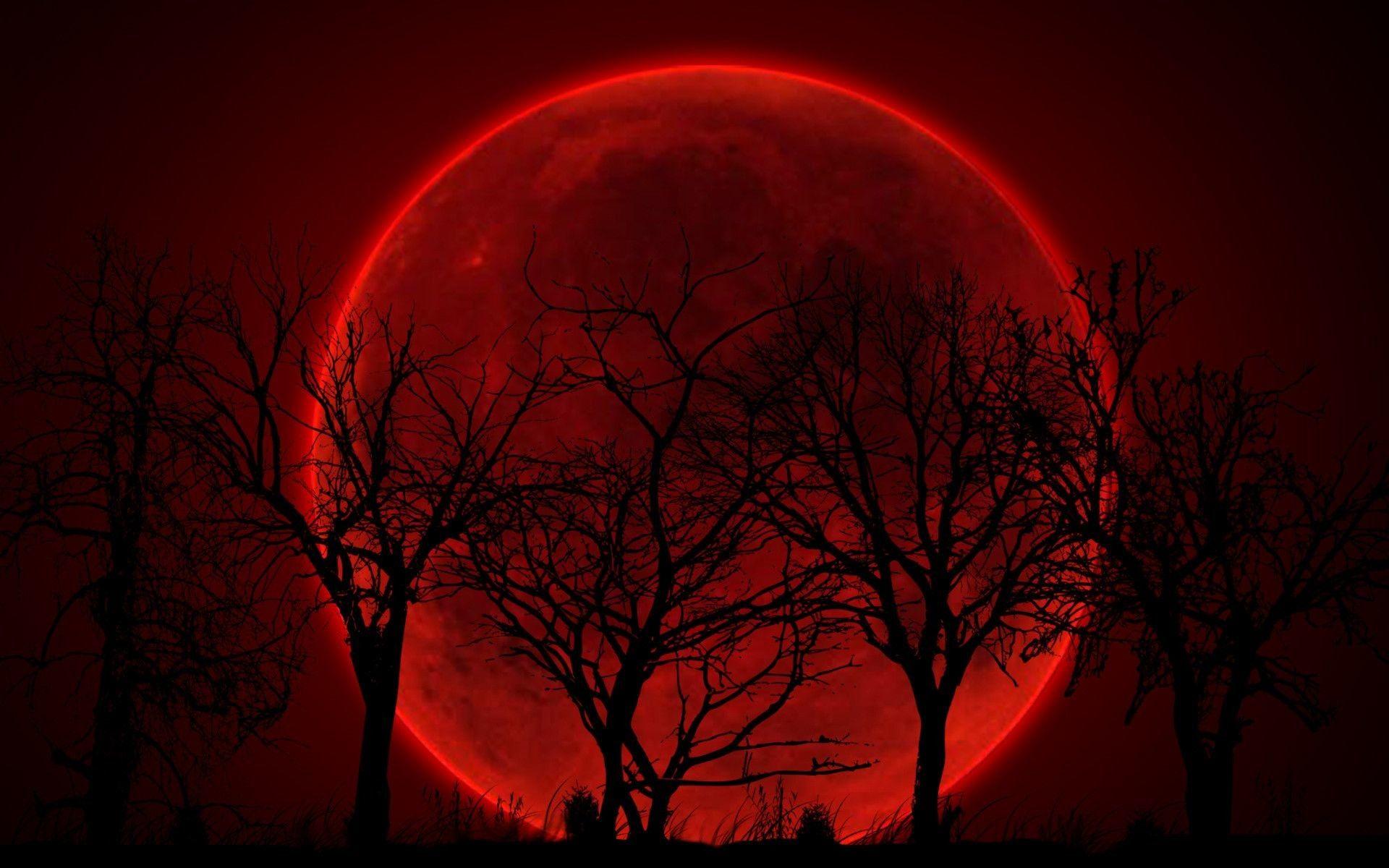 Blood Red Moon Wallpaper