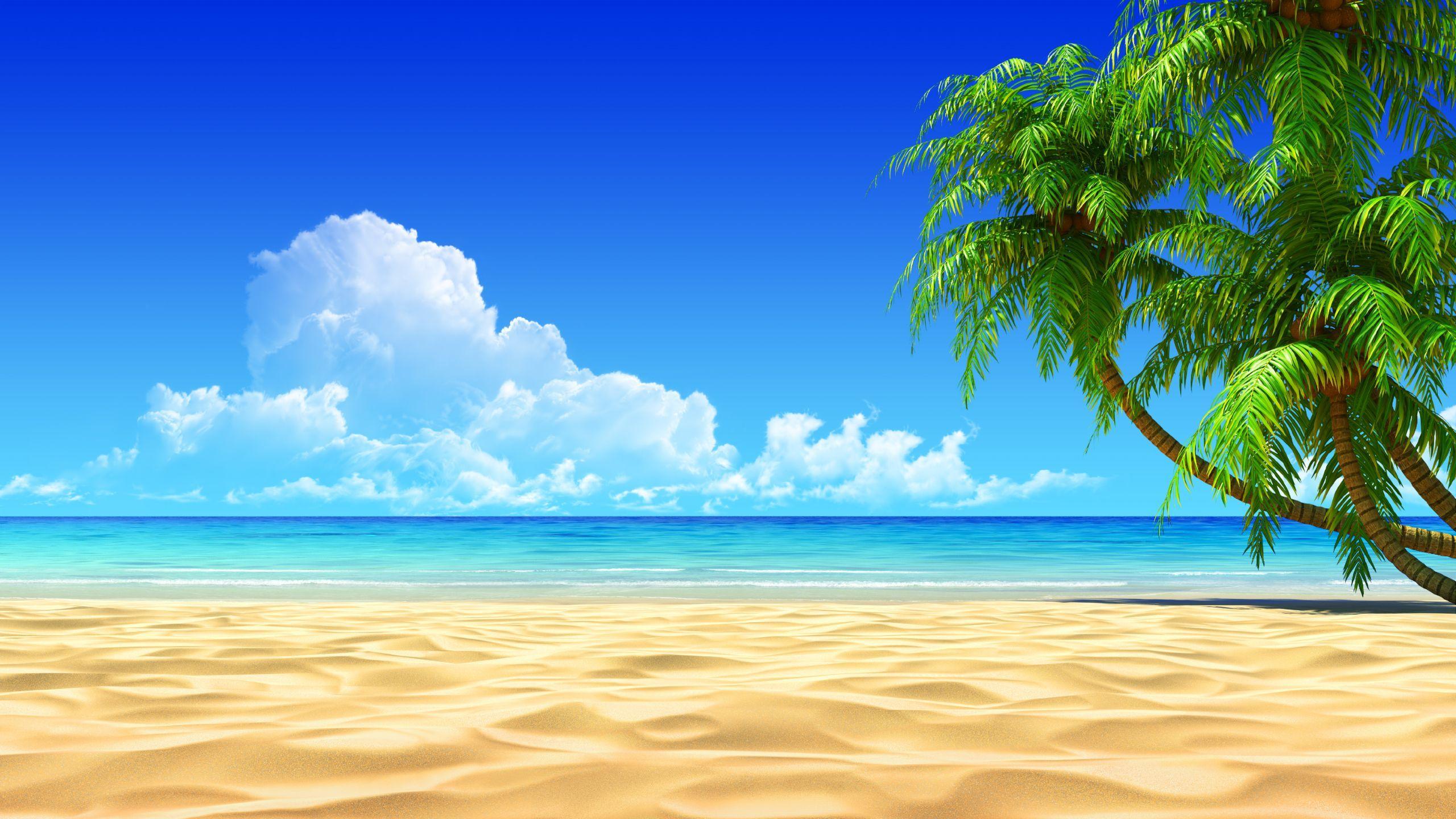 Image for Tropical Beaches With Palm Trees Wallpaper Desktop