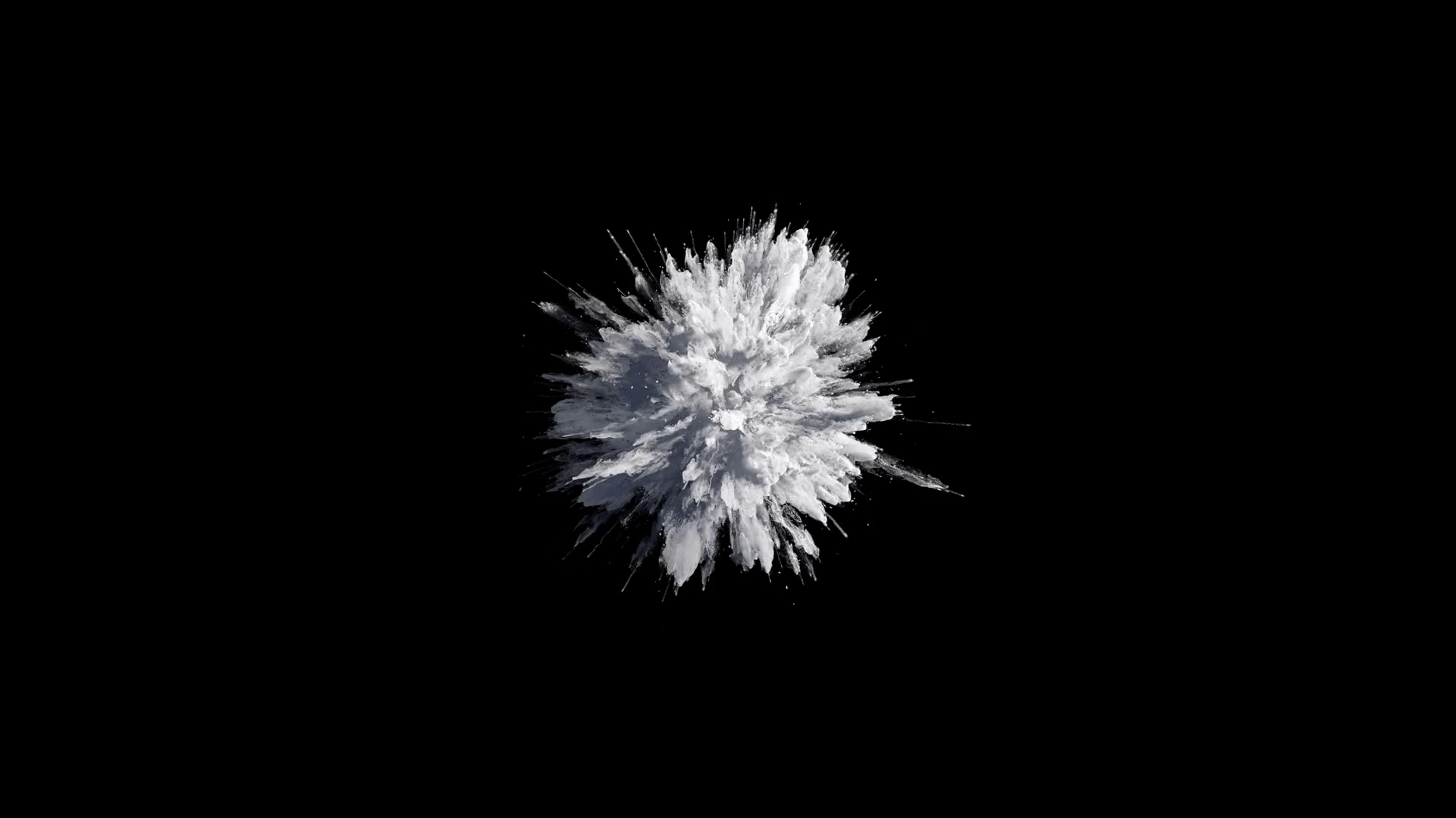 Cg animation of white powder explosion on black background. Slow