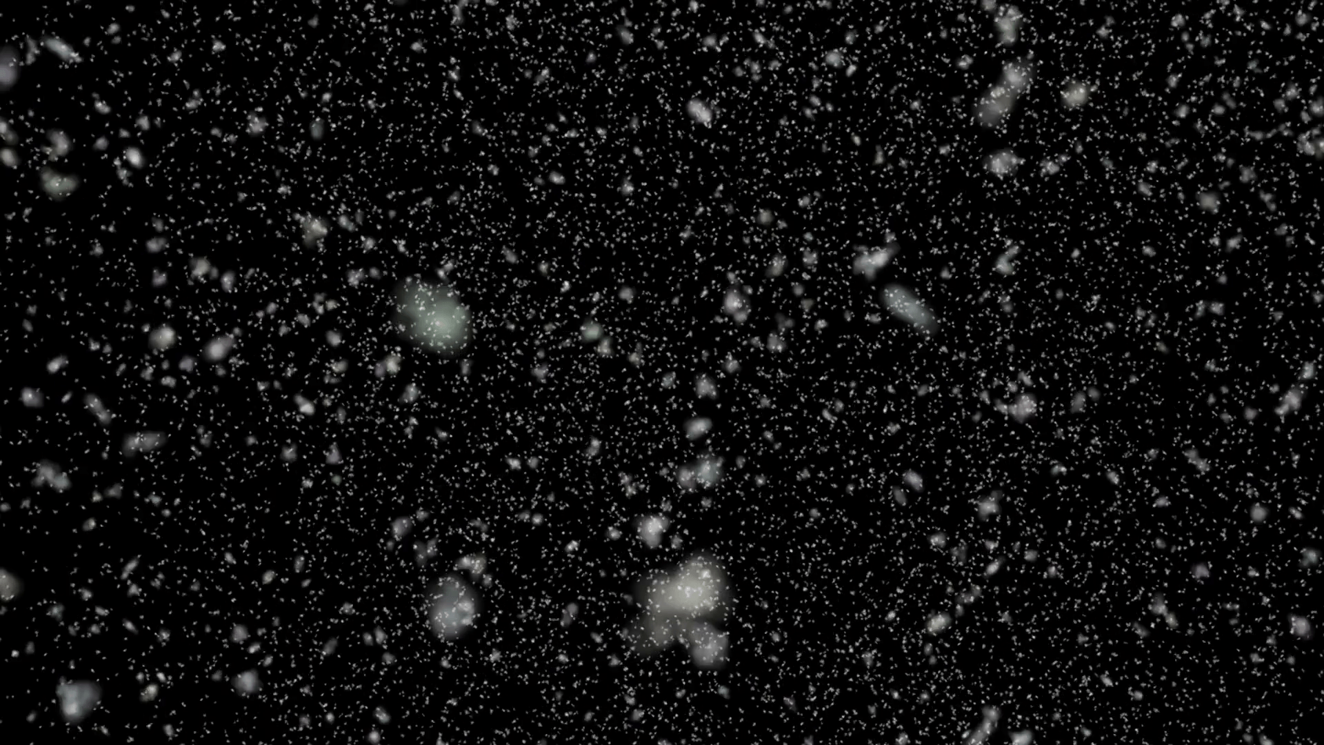 Snowfall in the wind on the black background, winter snow animated
