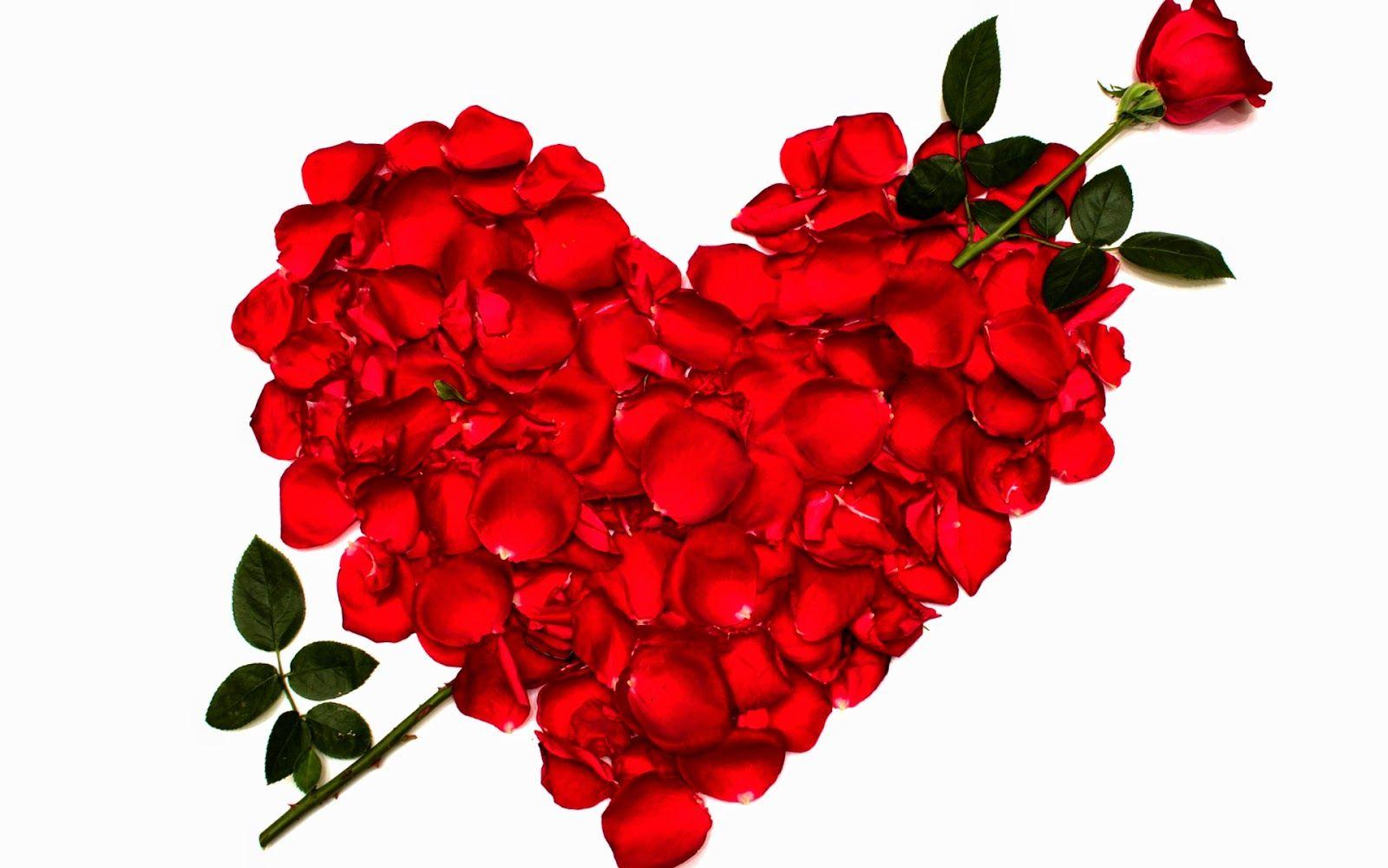 Girls Wallpaper 2015: Love Heart HD Wallpaper 2015 Lovely Hearts