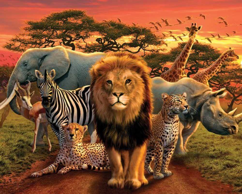 Wild Animals in Africa. african kingdom mini poster animals ean